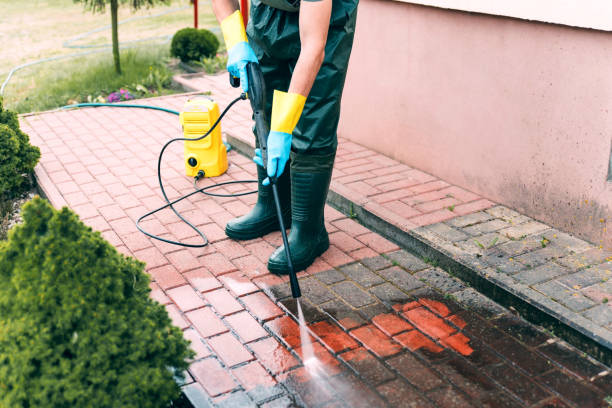 Best Building Exterior Washing  in Nevada, IA